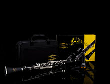 Load image into Gallery viewer, Glory Clarinet GLY-PBK Professional Ebonite Bb Clarinet with 10 Reeds, Stand, Hard Case, Cleaning Cloth, Cork Grease, Mouthpiece Brush and Pad Brush, Black
