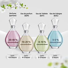 Load image into Gallery viewer, Calvin Klein ck one Eau De Toilette
