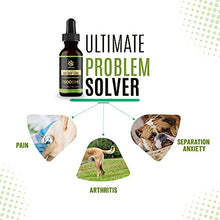 Load image into Gallery viewer, Billion Pets - Hemp Oil for Dogs Cats - Separation Anxiety, Joint Pain, Stress Relief, Arthritis, Seizures, Chronic Pains, Anti-Inflammatory - Omega 3, 6, 9-100% Organic - Calming Drops
