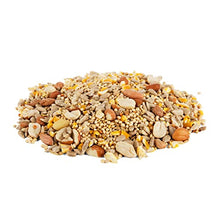 Load image into Gallery viewer, Morning Song 11959 Clean &amp; Free Shell Free Wild Food Premium No Mess Bird Seed for Outside Feeders, 10 lb
