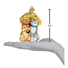 Load image into Gallery viewer, Old World Christmas Pet Lovers Glass Blown Ornaments for Christmas Tree Cats and Dogs
