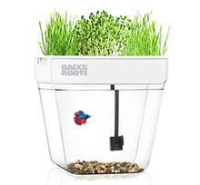 Load image into Gallery viewer, Back to the Roots Water Garden, Self-Cleaning Fish Tank That Grows Food, Mini Aquaponic Ecosystem (Great Gardening Gift &amp; Family Project), 3 Gallons
