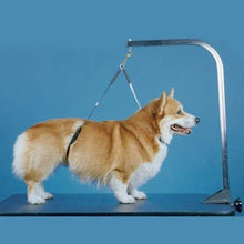 Load image into Gallery viewer, No Sit Pet Haunch Holder Dog Grooming Arm Restraint for Small, Medium and Large Dogs | Durable and Effective for Grooming Tables (Haunch Only, Large 21" and 24")
