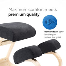 Load image into Gallery viewer, Luxton Home Ergonomic Chair Work from Home Posture Chair with Extra Padding

