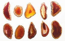 Load image into Gallery viewer, ShinyShaw 10 PCS Polished Agate Light Table Slices,Healing Crystals Geode Stones，Irregular Home Decoration Jewelry Making (Red)
