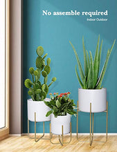 Load image into Gallery viewer, Floor Standing Planters with Metal Stand Pack of 3, White Plant Pot with Gold Metal Stand, Matches Mid Century Modern Living Rooms, Container Box for Patio, Deck, Porch, Garden, Lawn(White)
