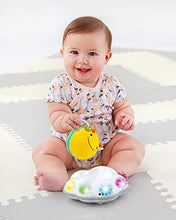 Load image into Gallery viewer, Skip Hop Developmental Learning Crawl Toy, Explore &amp; More 3-Stage Follow-Me, Bee
