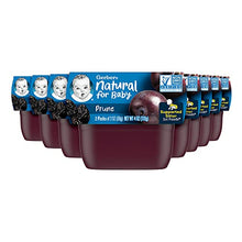 Load image into Gallery viewer, Gerber Purees 1st Foods Prune Baby Food Tubs, 2 Ounce Tub, 2 Count (Pack of 8)
