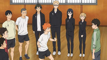 Load image into Gallery viewer, Haikyu: Season 4
