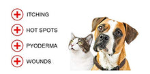 Load image into Gallery viewer, Forticept Blue Butter Antimicrobial Gel, Antiseptic Hydrogel Dogs Wound Care, Dogs &amp; Cats for Skin Infections, Rashes, Sores, Wounds, Burns | 4 OZ
