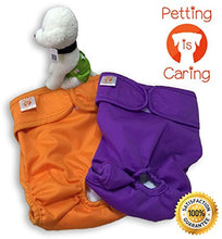 Load image into Gallery viewer, PETTING IS CARING Dog Washable Diapers &amp; Reusable Female Dog Diapers Materials Durable Machine Washable Simple Solution for Pets Incontinence Long Travels Pants - 3 Pack Set Size (M)
