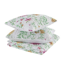 Load image into Gallery viewer, Comfort Spaces Reversible Quilt Set-Vermicelli Stitching Design All Season, Lightweight, Coverlet Bedspread Bedding, Matching Shams, Full/Queen(90"x90") Marlene, Daisies Green 3 Piece
