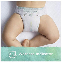 Load image into Gallery viewer, Diapers Size 3, 168 Count and Baby Wipes - Pampers Pure Protection Diapers and Aqua Pure 6X Pop-Top Sensitive Water Baby Wipes, 336 Count
