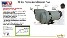 Load image into Gallery viewer, Star HSP20P1 2 HP Self Priming Lawn Sprinkler Irrigation Pump, Rugged Cast Iron, 78 GPM, Made in the USA using a Majority of US Content
