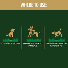 Load image into Gallery viewer, Scotts EZ Seed Dog Spot Repair Sun and Shade - 2 Lb., Mulch, Seed and Soil Amendment with Protectant and Tackifier, Repairs Pet Spots
