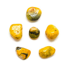 Load image into Gallery viewer, Bumble Bee Jasper Tumbled Stone Set (Medium)
