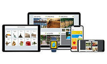 Load image into Gallery viewer, Rosetta Stone Learn Spanish Bonus Pack Bundle| Lifetime Online Access + Grammar Guide + Dictionary Book Set| PC/Mac Keycard
