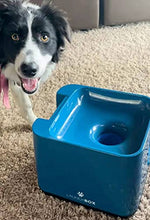 Load image into Gallery viewer, LAUNCHBOX Big Dog Ball Launcher, Automatic Rechargeable Tennis Ball Thrower Machine for Most Sized Dogs which Could Carry 2.5”pet Ball
