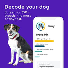 Load image into Gallery viewer, Embark | Dog DNA Test | Breed &amp; Health Kit | Breed Identification &amp; Canine Genetic Health Screening

