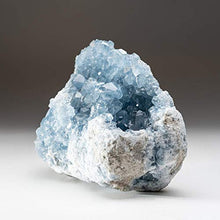 Load image into Gallery viewer, Astro Gallery of Gems Blue Celestite Cluster Geode from Sankoany, Ketsepy Mahajanga, Madagascar (5.8 lbs) - BC65
