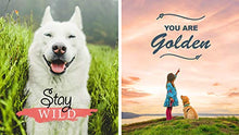Load image into Gallery viewer, Adobe Photoshop Elements 2021 &amp; Premiere Elements 2021 [PC/Mac Disc]
