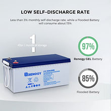 Load image into Gallery viewer, Renogy 12V 200AH Rechargeable Deep Cycle Hybrid GEL Battery for Solar Wind RV Marine Camping UPS Wheelchair Trolling Motor, Maintenance Free, Non Spillable

