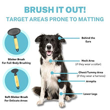 Load image into Gallery viewer, CONAIRPRO dog &amp; cat Dog Brush for Shedding, Medium Slicker Brush with Metal Pins, Ideal for Midsized Breeds
