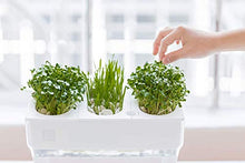 Load image into Gallery viewer, Back to the Roots Water Garden, Self-Cleaning Fish Tank That Grows Food, Mini Aquaponic Ecosystem (Great Gardening Gift &amp; Family Project), 3 Gallons
