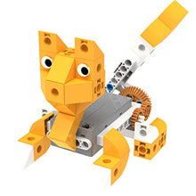 Load image into Gallery viewer, Thames &amp; Kosmos Kids First Robot Pet Shop: Owls, French Bulldogs, Sloths &amp; More! STEM Experiment Kit for Young Engineers | Build 8 Motorized Robots of Cute Animals | Play &amp; Learn with Storybook Manual
