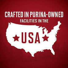 Load image into Gallery viewer, Purina ONE Natural, High Protein Gravy Wet Dog Food, SmartBlend True Instinct Turkey &amp; Game Bird - (12) 13 oz. Cans
