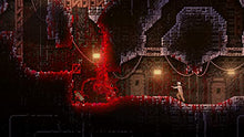Load image into Gallery viewer, Carrion - Nintendo Switch
