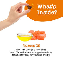 Load image into Gallery viewer, Zesty Paws Pure Wild Alaskan Salmon Oil Skin Health for Dogs and Cats, 32 Fluid Ounce
