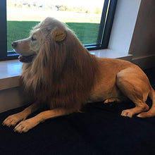Load image into Gallery viewer, RWM Basting Brush &amp; Dog Lion Mane Constume-Love BBQ, Love Dog
