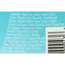 Load image into Gallery viewer, Summer's Eve Summer's Eve Cleansing Wash, Fragrance Free, 15 Fl Oz, 15 Oz
