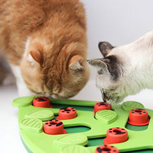Load image into Gallery viewer, Nina Ottosson by Petstages Buggin' Out Puzzle &amp; Play - Interactive Cat Treat Puzzle
