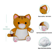 Load image into Gallery viewer, Avocatt Orange Cat Plush Toy - 10 Inches Plushie Stuffed Animal - Hug and Cuddle with Squishy Soft Fabric and Stuffing - Cute Cat Gift for Boys and Girls
