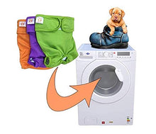Load image into Gallery viewer, PETTING IS CARING Dog Washable Diapers &amp; Reusable Female Dog Diapers Materials Durable Machine Washable Simple Solution for Pets Incontinence Long Travels Pants - 3 Pack Set Size (M)
