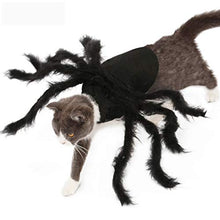 Load image into Gallery viewer, N3 2020 Updated Version Product Halloween Spider Pet Costume，Halloween Horror Simulation Plush Big Spider Wings Dress Up Funny Party for Dogs or Cats (M)
