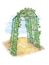 Load image into Gallery viewer, Gardener’s Supply Company Extra Tall Garden Arch Arbor 80in Titan Squash Tunnel | Lightweight Metal Garden Arch Trellis Plant Stand for Climbing Vines | Outdoor Lawn Tower &amp; Garden Support Structure
