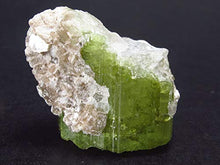 Load image into Gallery viewer, Green Tourmaline Crystal From Brazil - 0.9"
