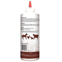 Load image into Gallery viewer, HARRIS Diatomaceous Earth Food Grade, Half Pound
