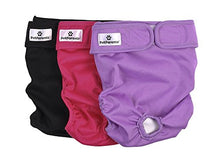 Load image into Gallery viewer, Pet Parents Washable Dog Diapers (3pack) of Doggie Diapers, Color: Princess, XSmall Dog Diapers
