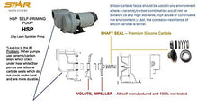 Load image into Gallery viewer, Star HSP20P1 2 HP Self Priming Lawn Sprinkler Irrigation Pump, Rugged Cast Iron, 78 GPM, Made in the USA using a Majority of US Content
