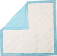 Load image into Gallery viewer, AmazonBasics Dog and Puppy Pee, Potty Training Pads, Regular (24 x 23 Inches) - Pack of 80

