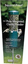 Load image into Gallery viewer, Birds Choice 431 Bird Feeder, 1.2 Gallons, Green
