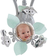 Load image into Gallery viewer, Fisher-Price Moonlight Meadow Cradle 'n Swing
