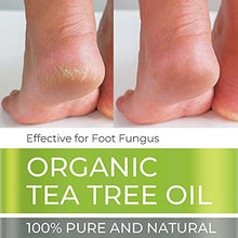 Load image into Gallery viewer, Organic Tea Tree Essential Oil - Huge 4 FL OZ - 100% Pure &amp; Natural – Premium Natural Oil with Glass Dropper (Tea Tree Oil, 4 fl oz)
