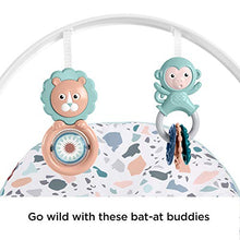 Load image into Gallery viewer, Fisher-Price Infant-to-Toddler Rocker - Pacific Pebble, Portable Baby Seat, Multi
