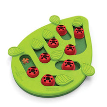 Load image into Gallery viewer, Nina Ottosson by Petstages Buggin' Out Puzzle &amp; Play - Interactive Cat Treat Puzzle
