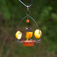 Load image into Gallery viewer, Birds Choice OFF Oriole Flower-Shaped Feeder w/Heart Ornament, Oriole Nectar &amp; Jelly Feeder, 3oz Capacity, Orange
